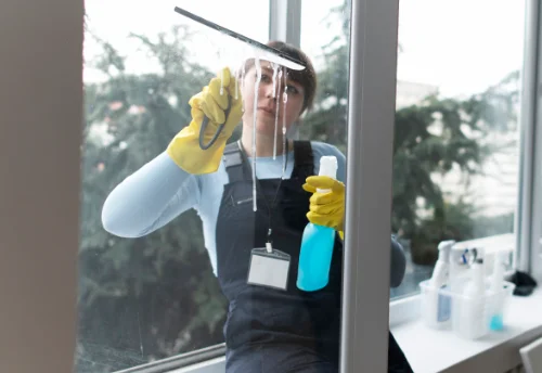 Nettoyage de vitres intérieures et extérieures à Linazay